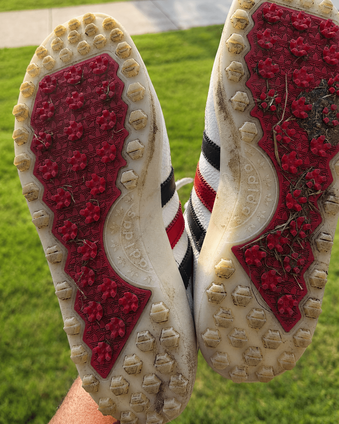 Adidas kiltie, sole and spikes golf shoes, before Fairway Fresh care