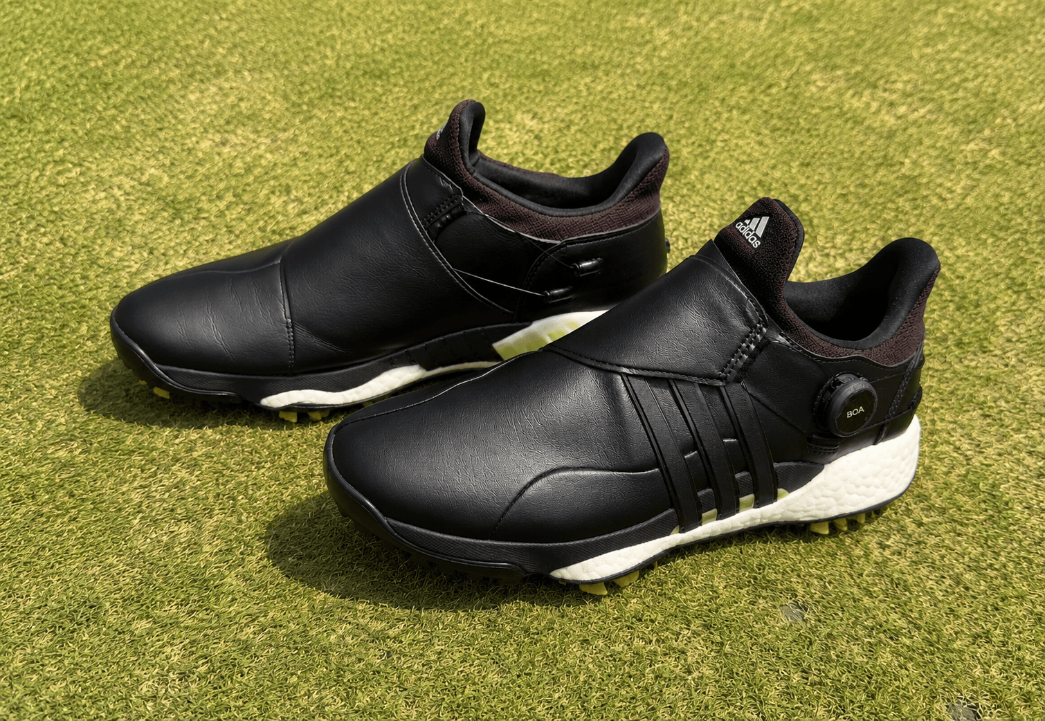 Adidas BOA, leather golf shoes, after Fairway Fresh care